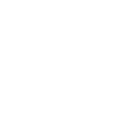 Ace client lamborghini