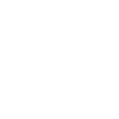 Ace client logo dillekamille