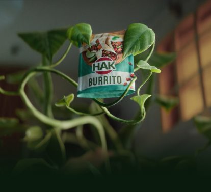 HA Kjedag hero B